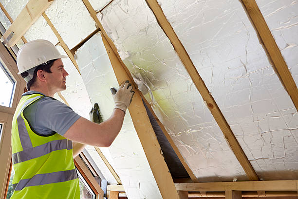 Best Insulation Maintenance and Repair in USA